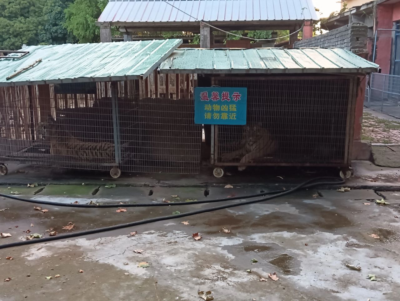 南海动物园