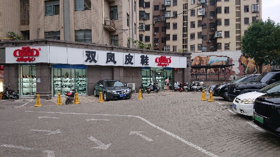 双凤皮鞋(汝河路店)