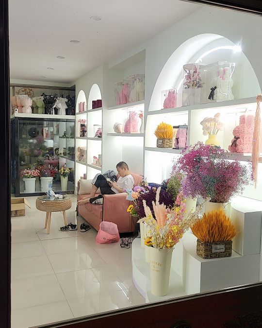 不晚(是家花店)
