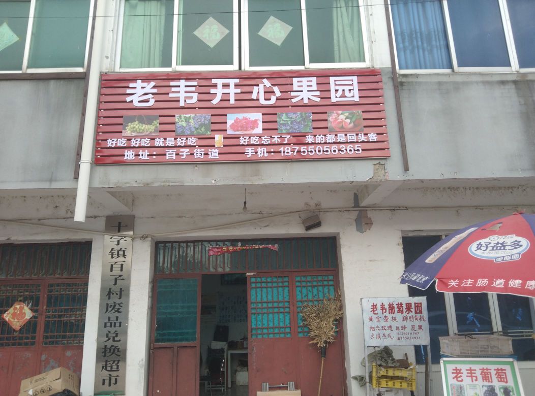 老韦开心果园