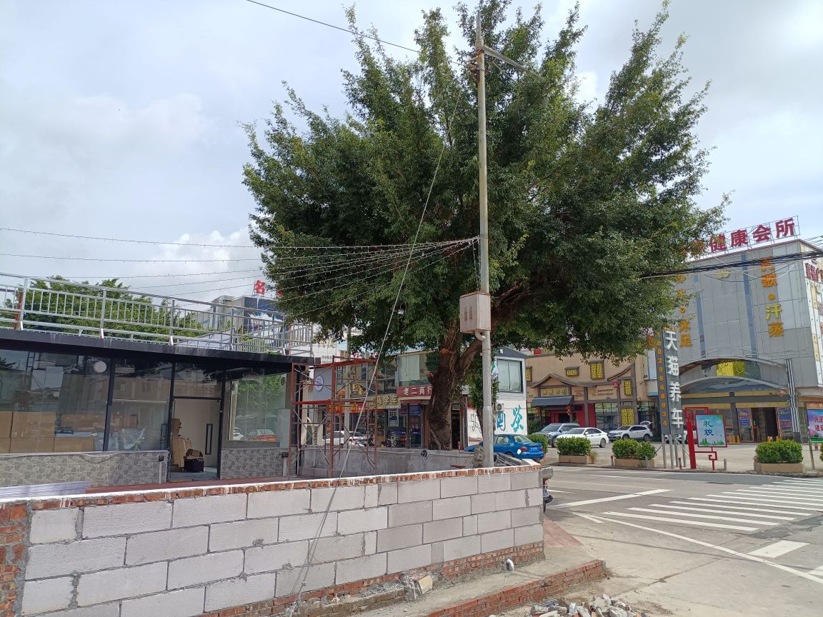 得得米亚花木餐吧