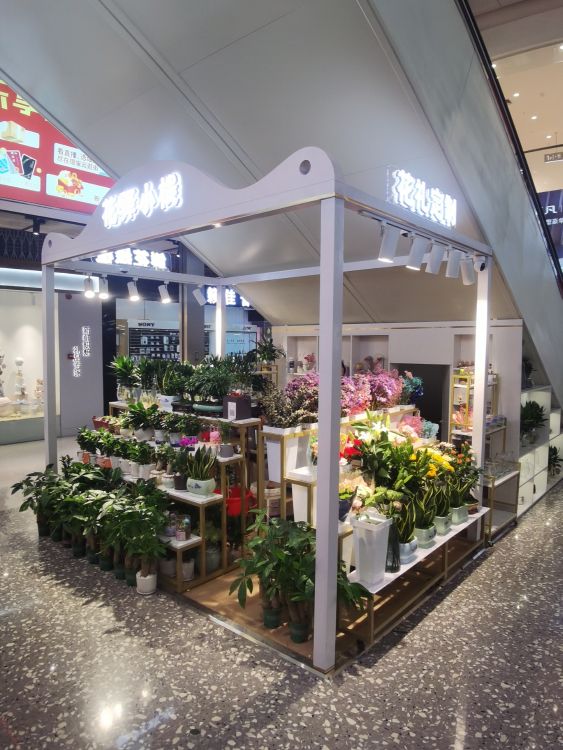 鲜花绿植(潍坊银座店)