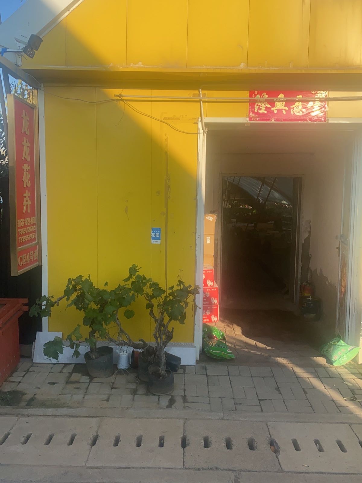 太原市龙龙花卉
