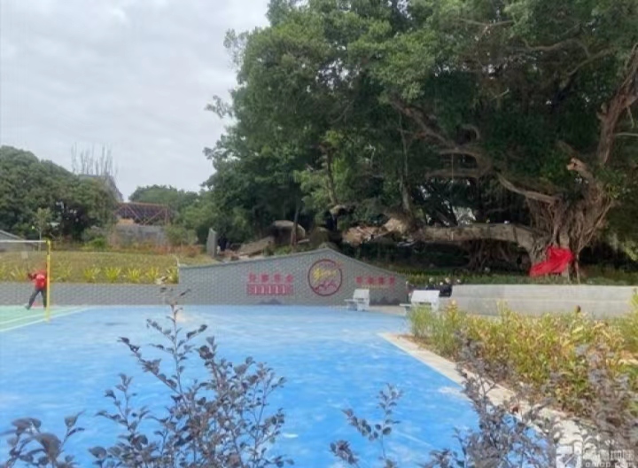 祯祥公园