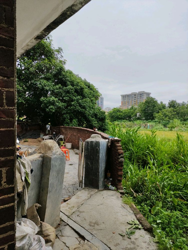 高峰王屋邓屋9号