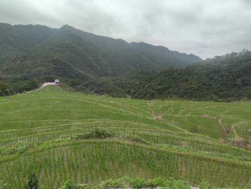 百马梯田景区