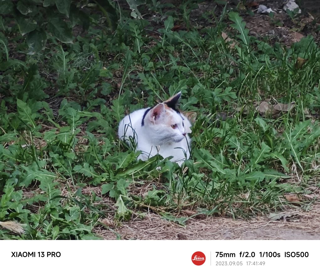 宠艺宠物生活会馆