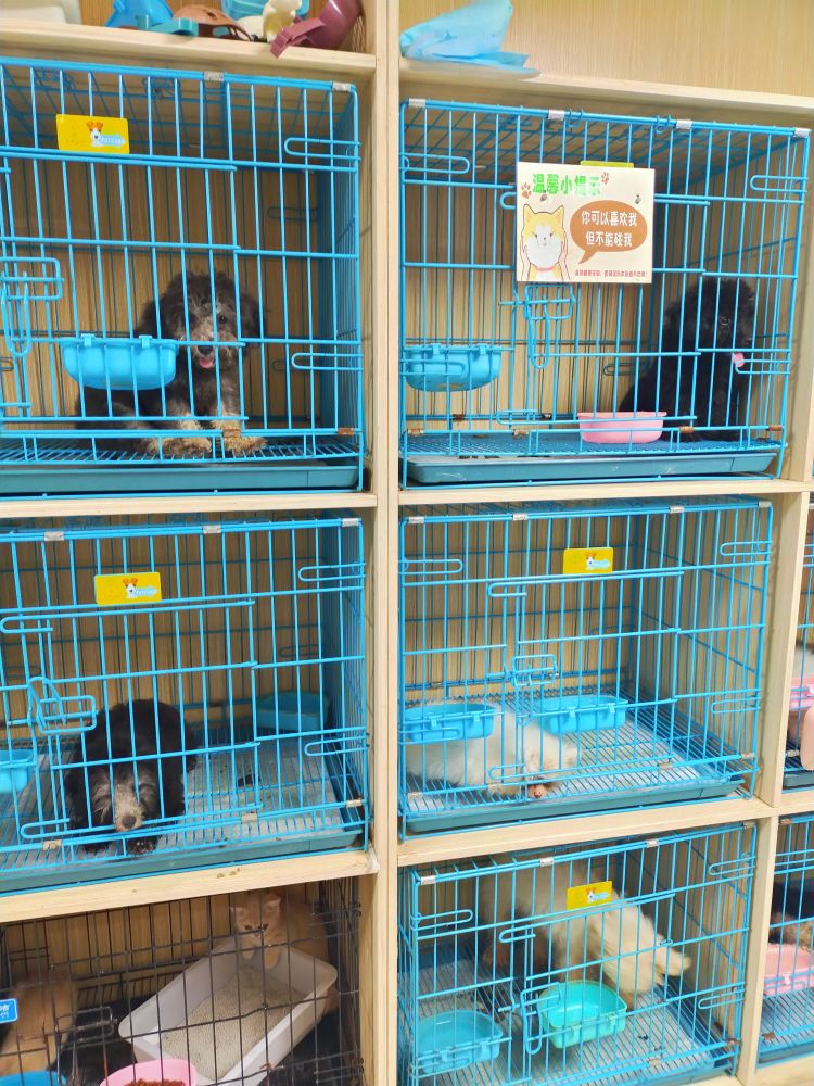 清风宠物生活馆(万达分店)