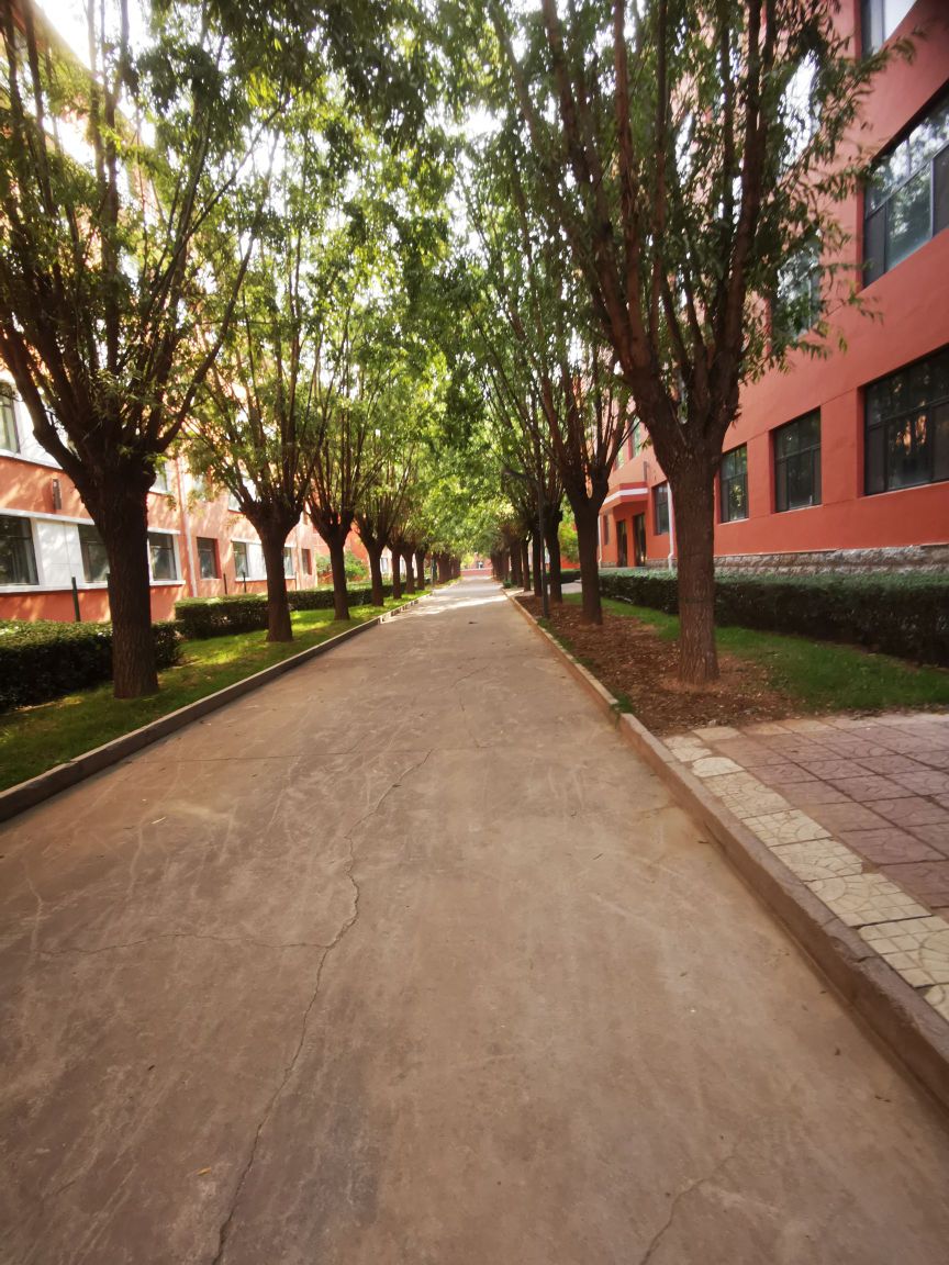 山西省晋中市卫生学校-家属院