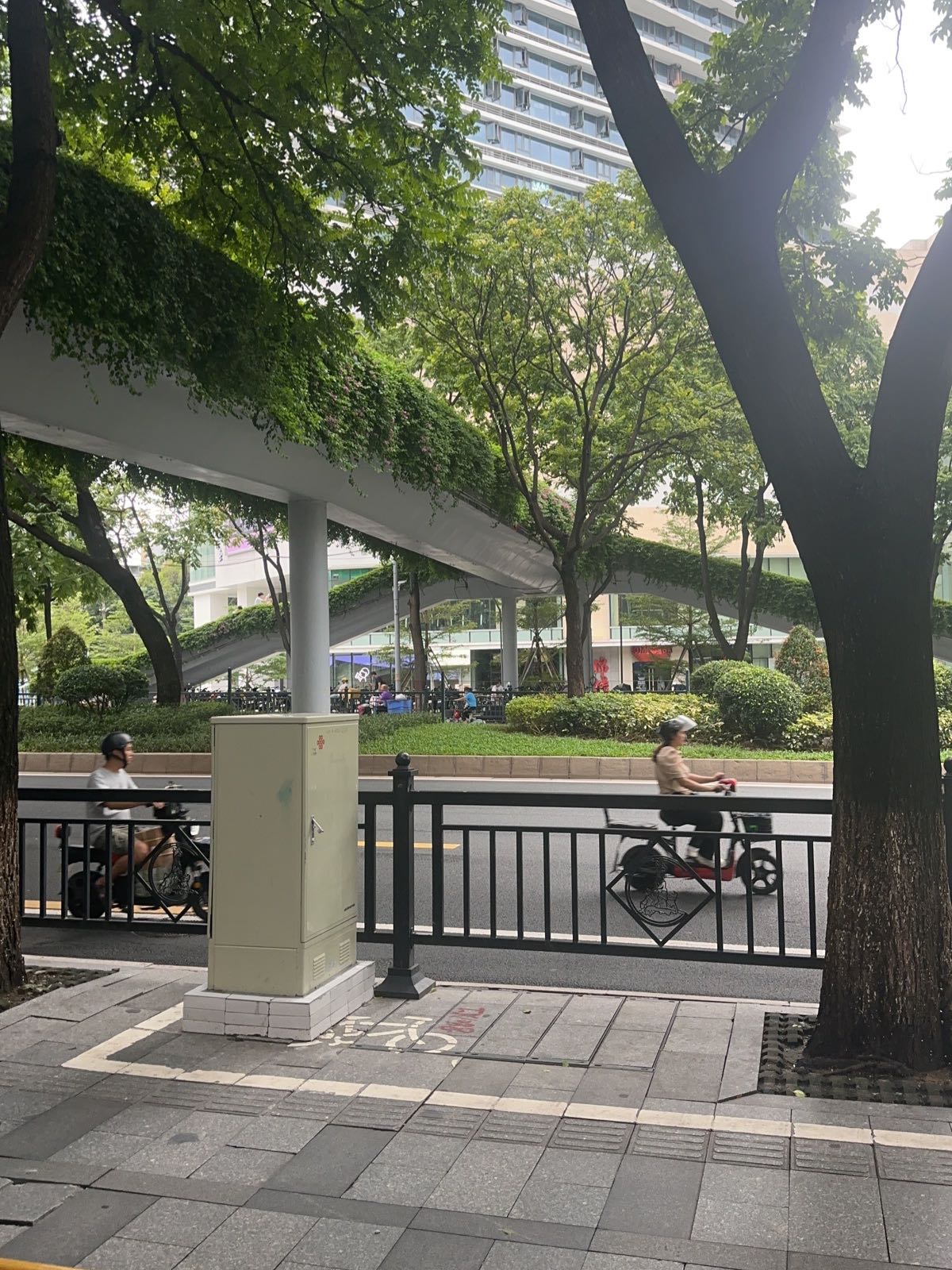 清真金城宴兰州牛肉面