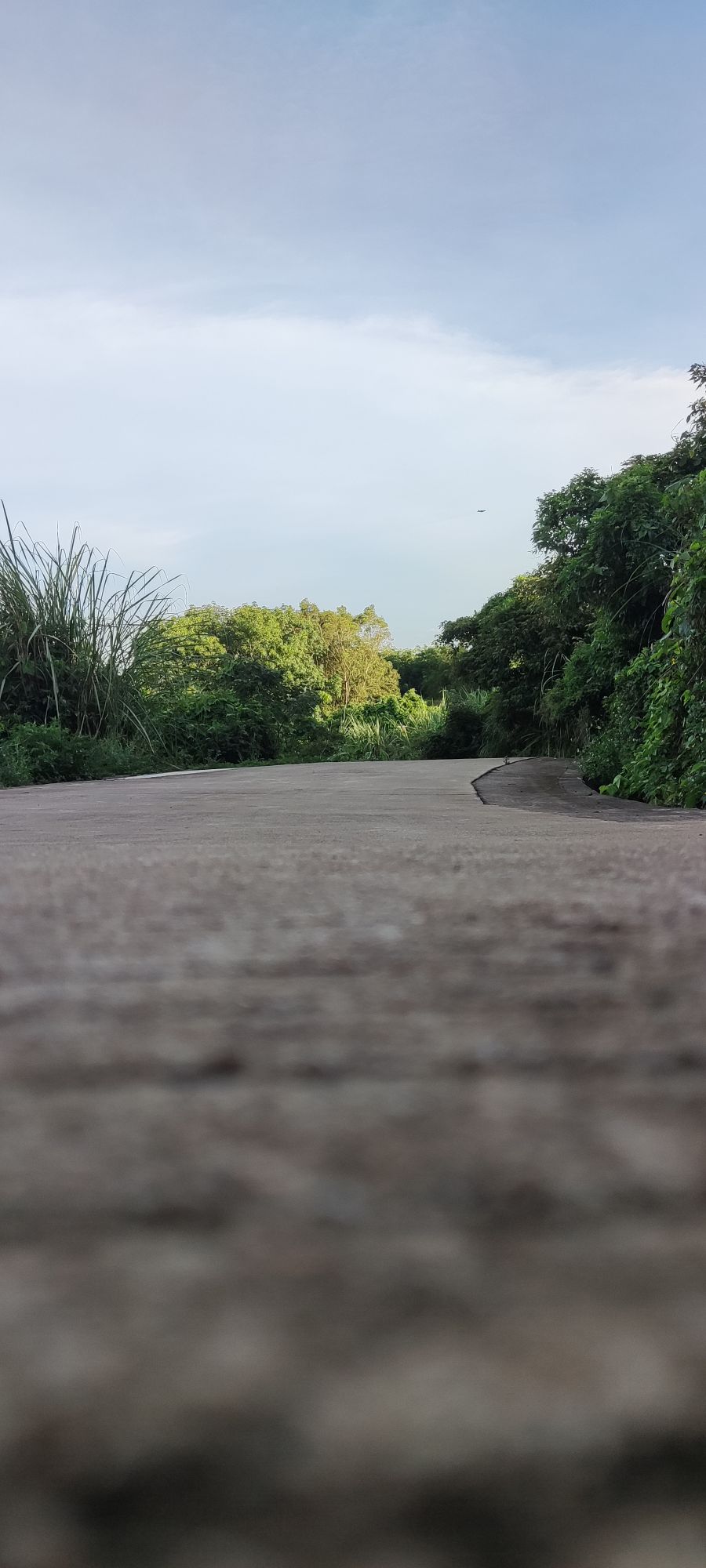 多文岭