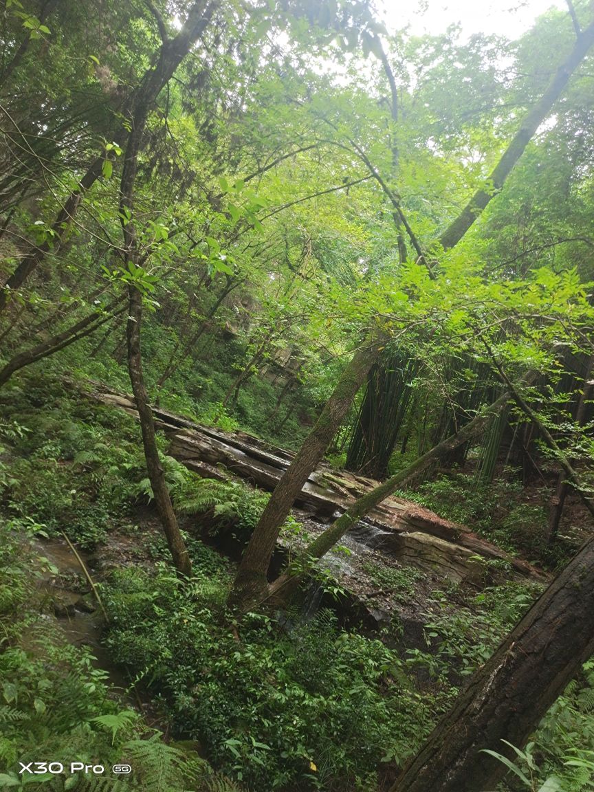 响水滩大峡谷