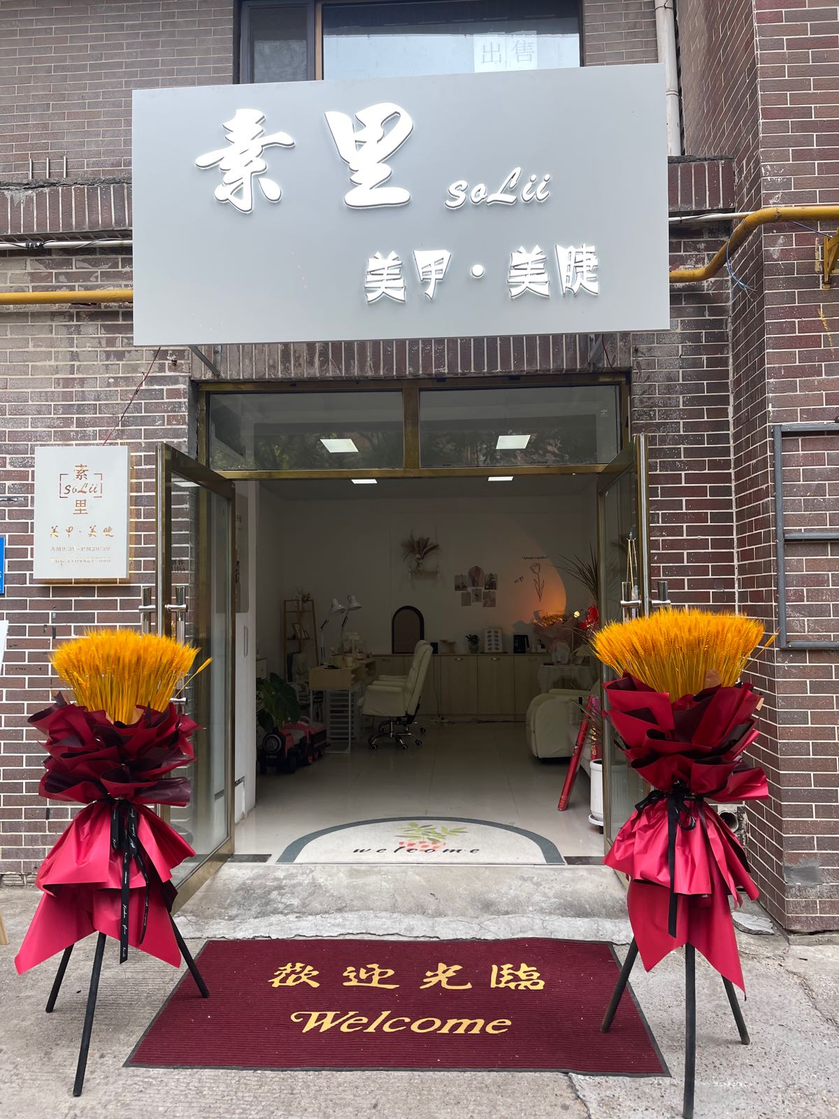 素里solli