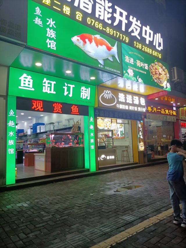鱼趣