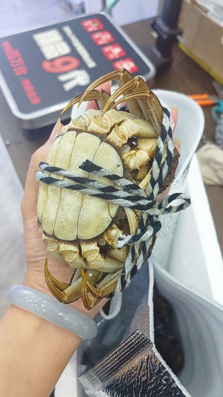 史记精品大闸蟹