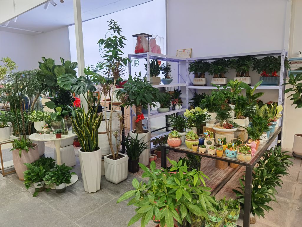 花与植鲜花婚礼(东汇城店)