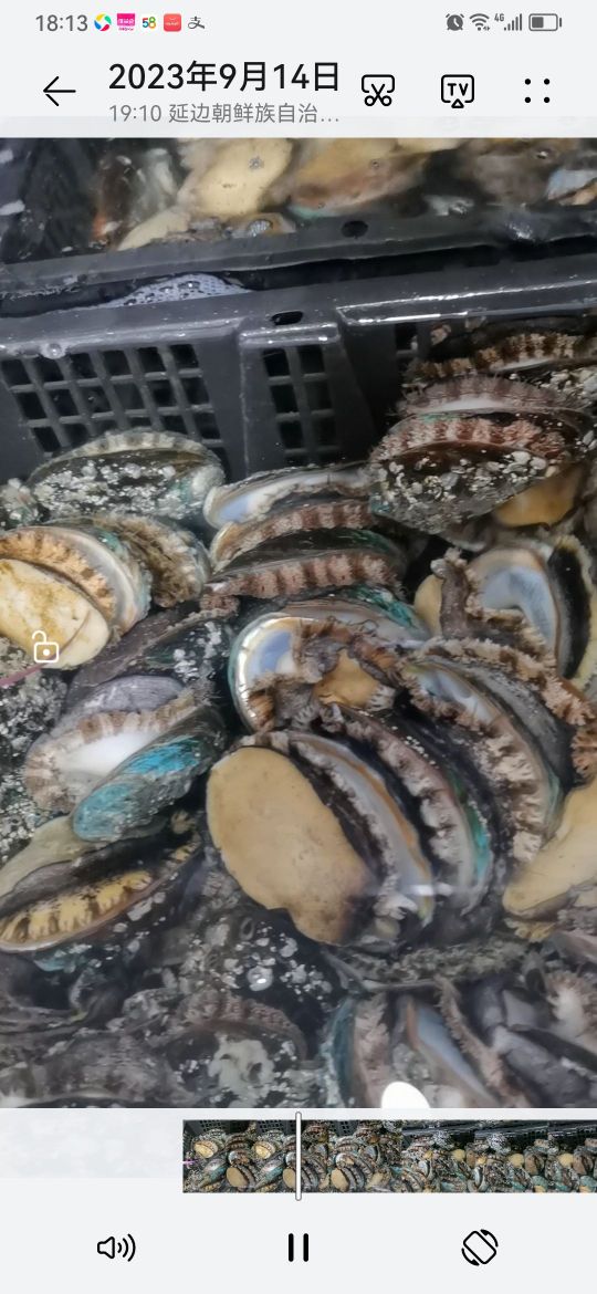 洪基水产批发行(阳光花园店)