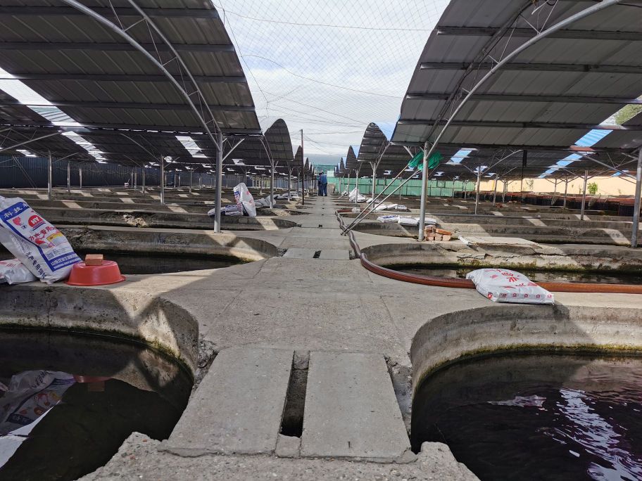 甘南藏族自治州玛曲渔场(甘南州渔业技术推广站)