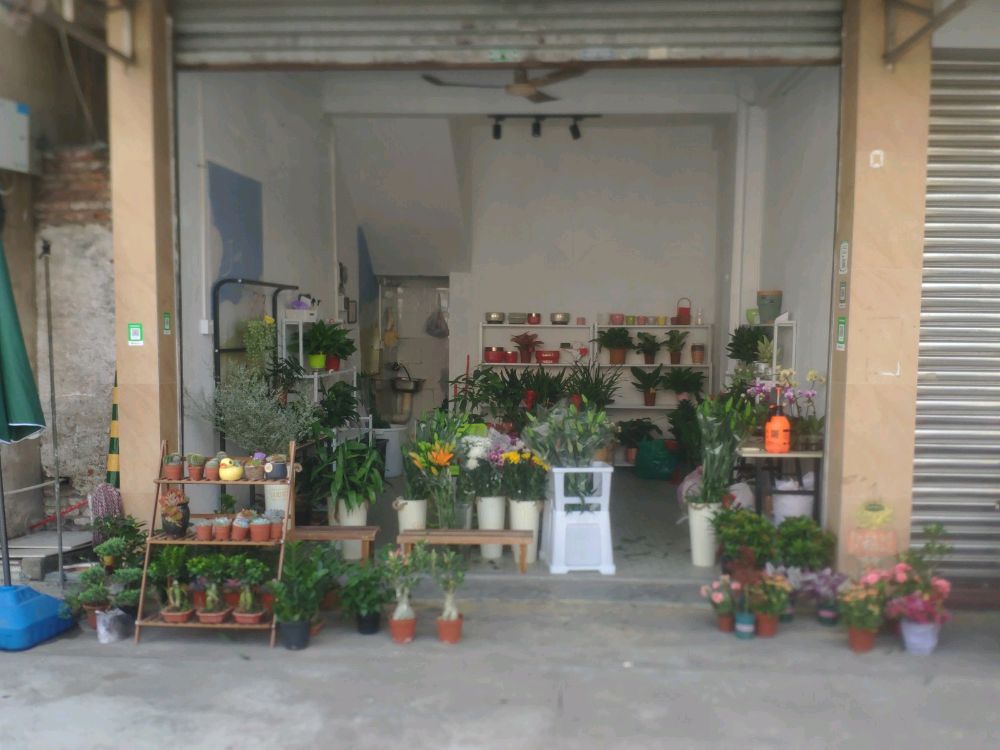 花先生花店