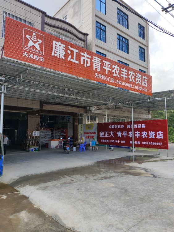 廉江市青平农丰农资店