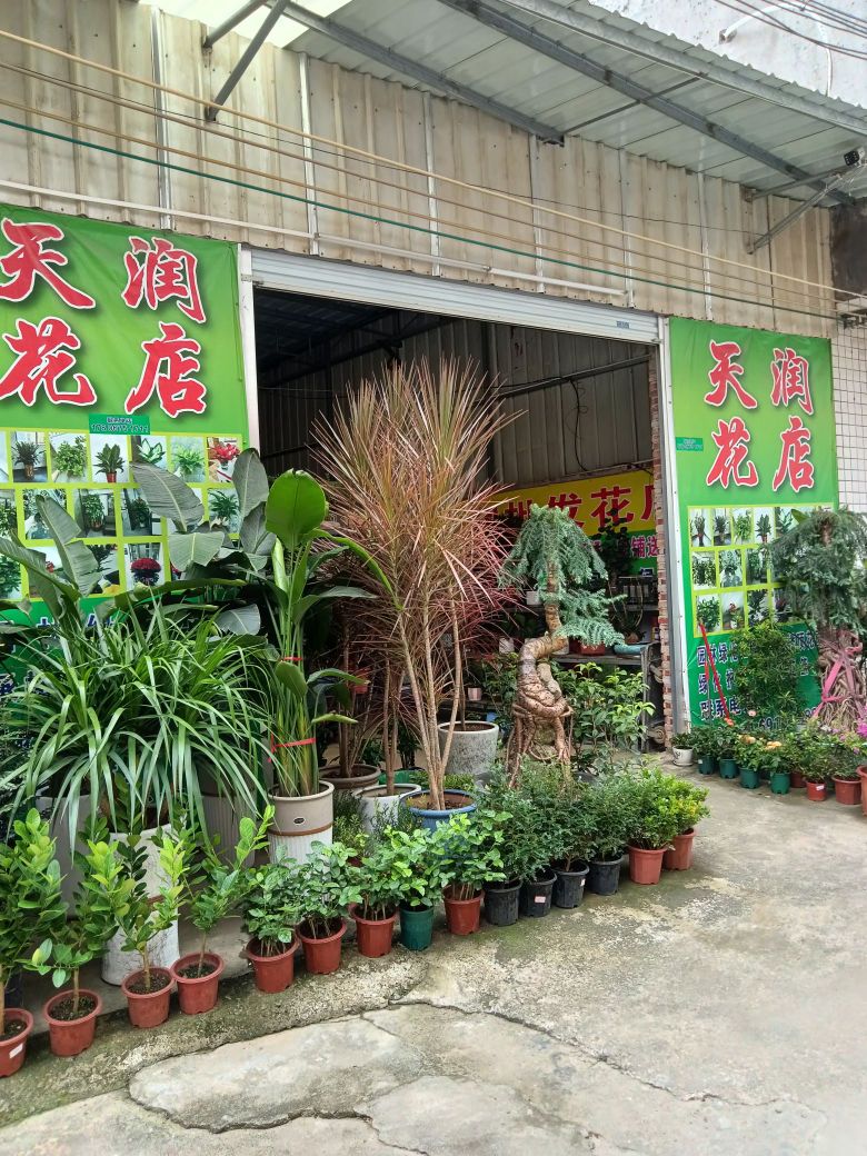 天润花店