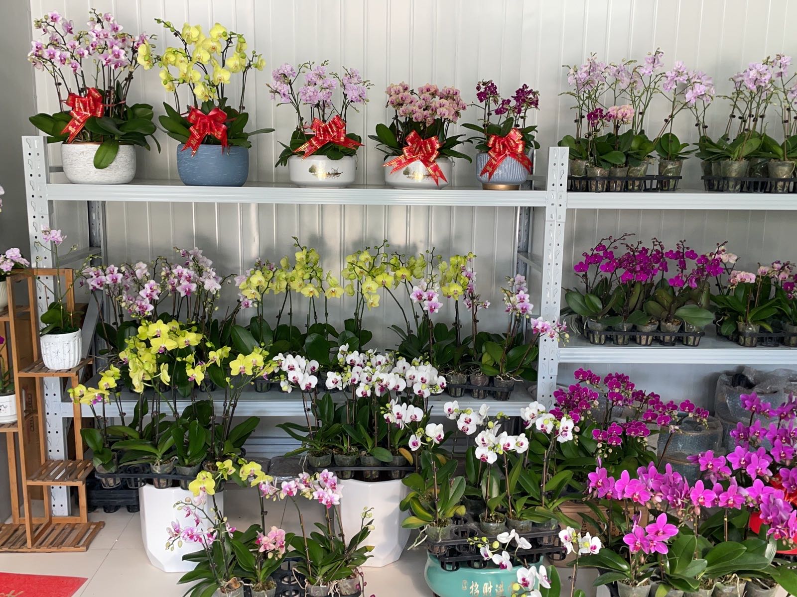 花千百花卉水族馆