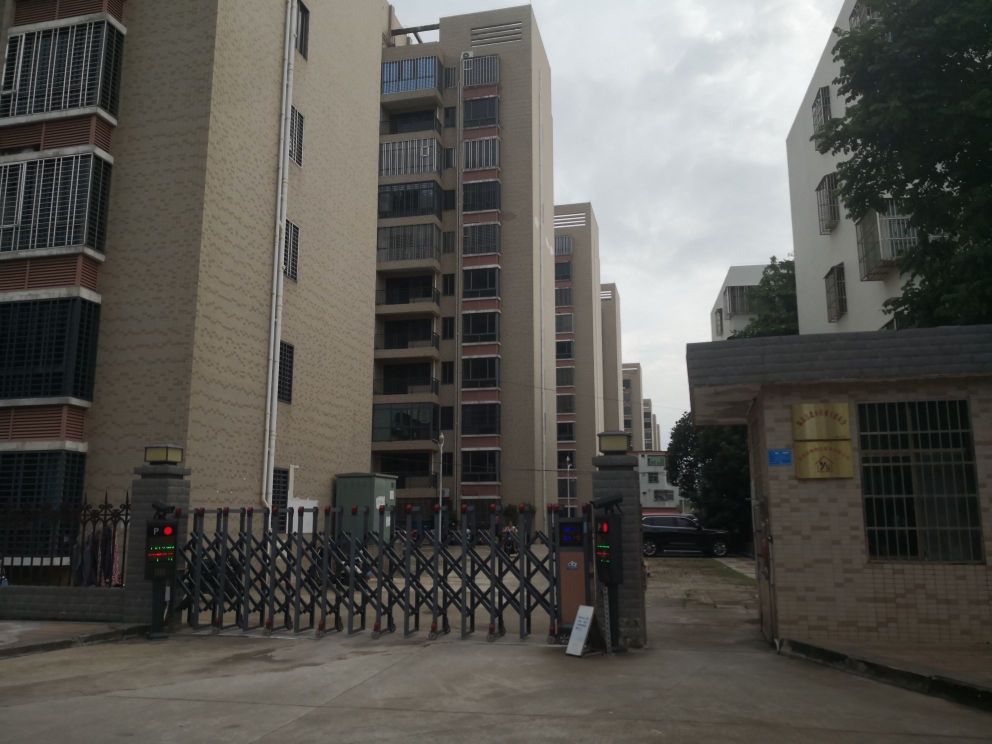 临高县江北小区-8栋