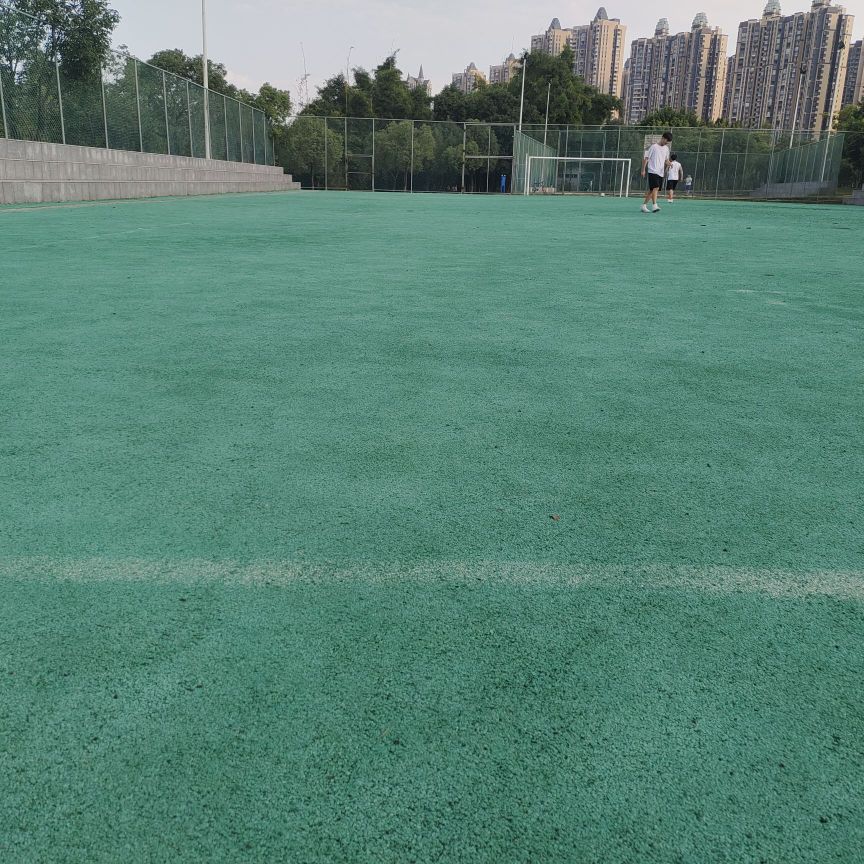 金山湖公园-足球场