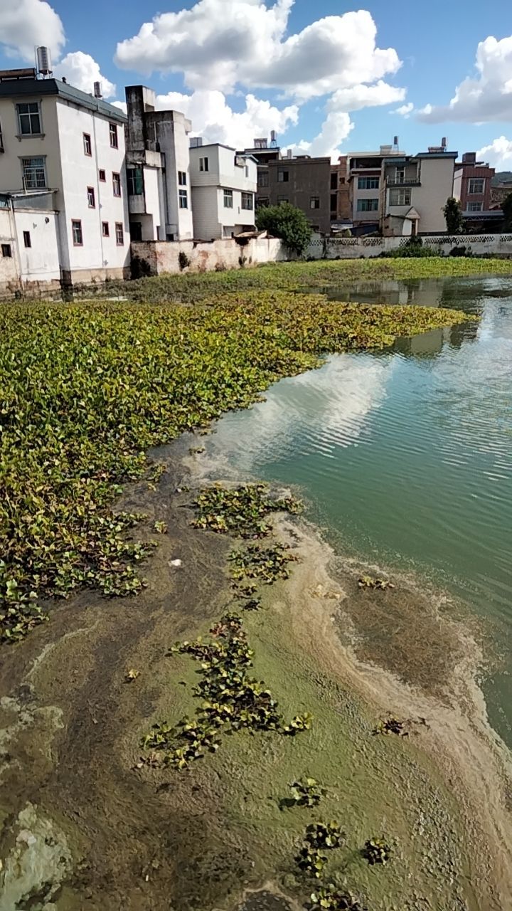 玉溪市江川区翠大线