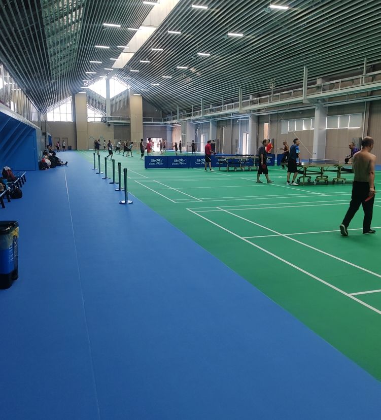 大亚湾区奥林匹克体育公园·综合馆