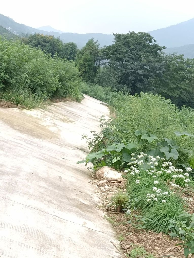 雎水镇