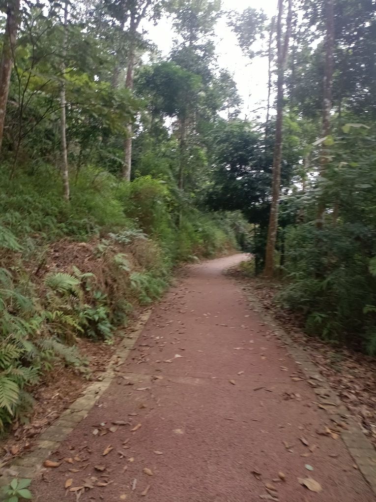 白云山环山步道终点