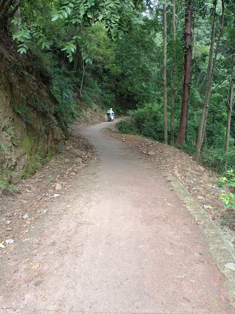 半山亭