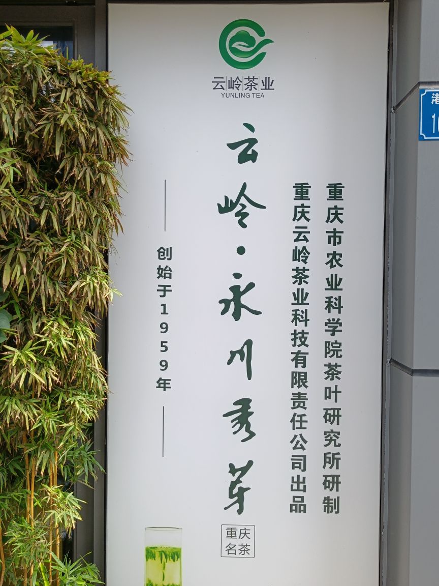 云岭永川秀芽(寸滩茶叶交易中心店)