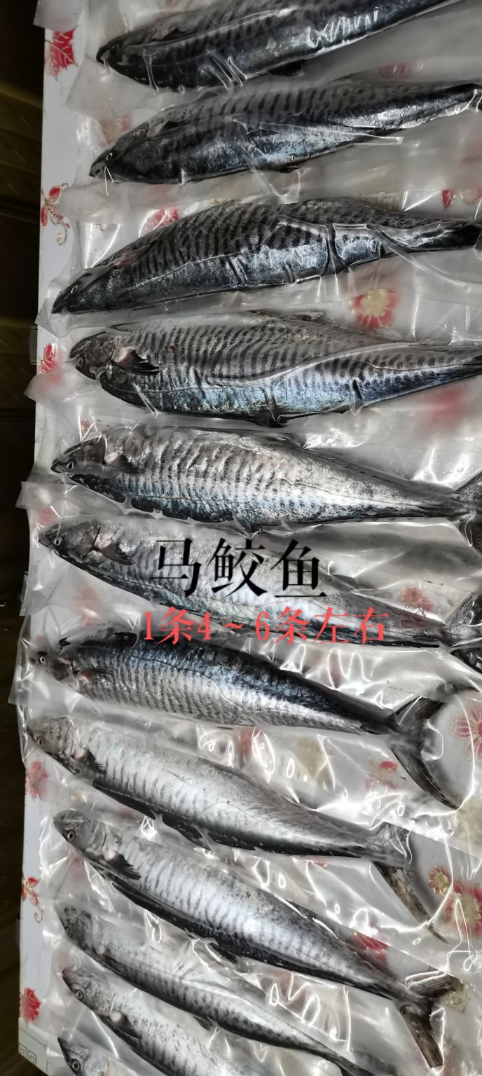 天环水产