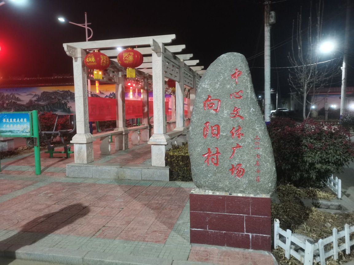 向阳村