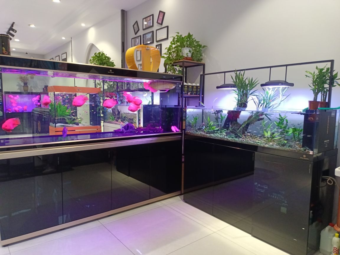 可丽爱水族生活馆(仙寓花卉市场店)