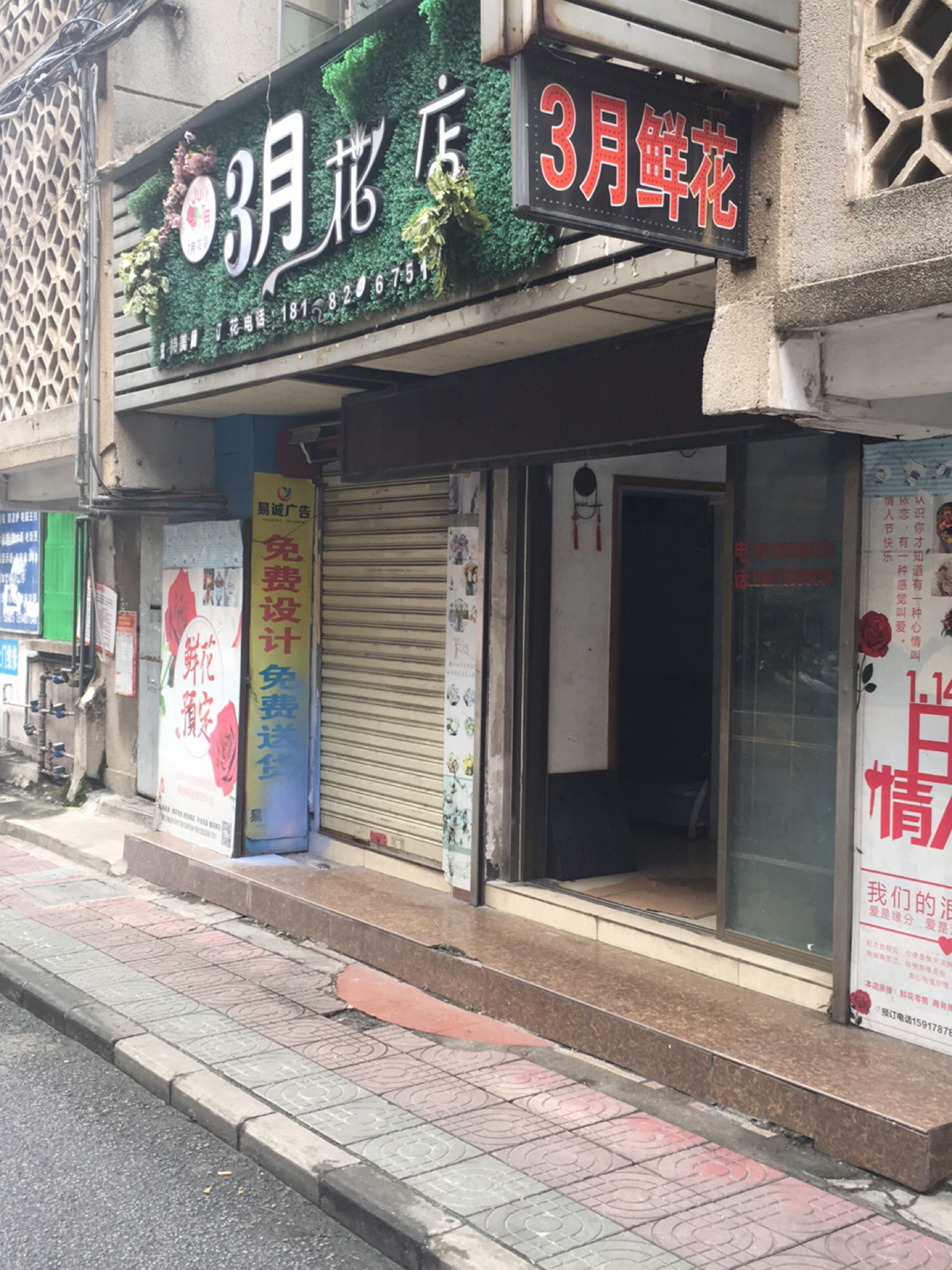 3月鲜花