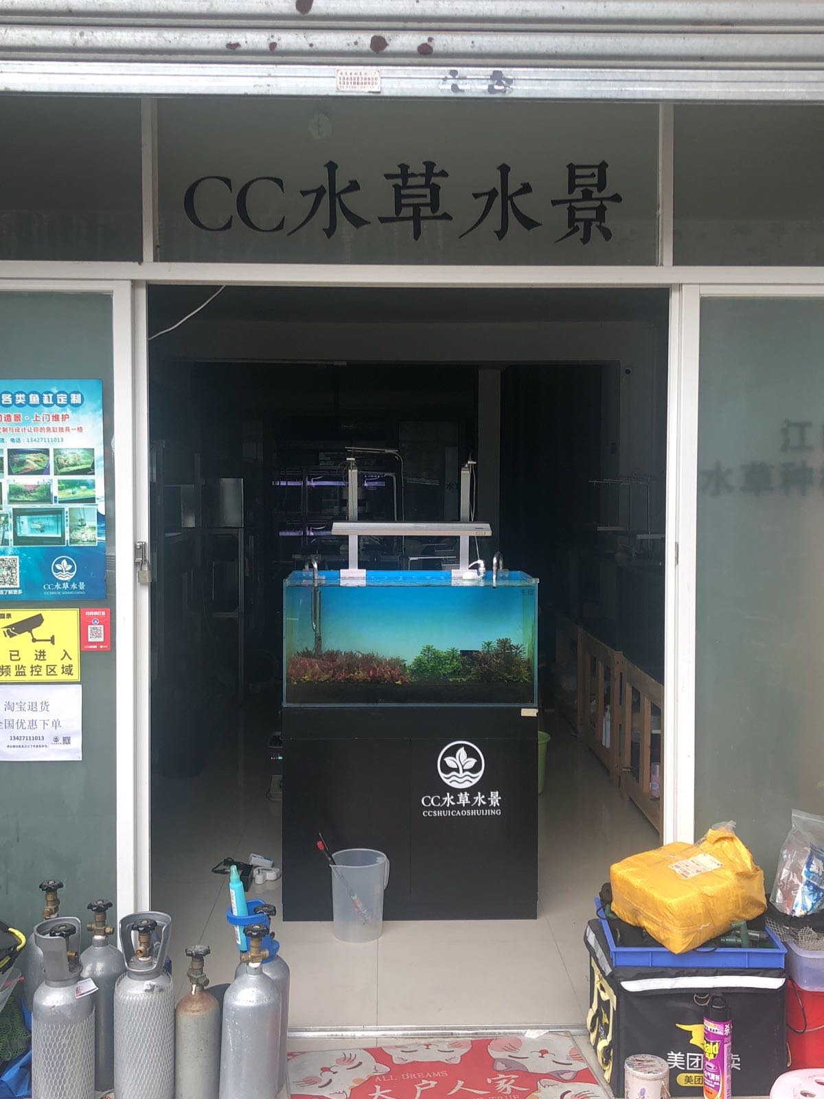 CC水草水景