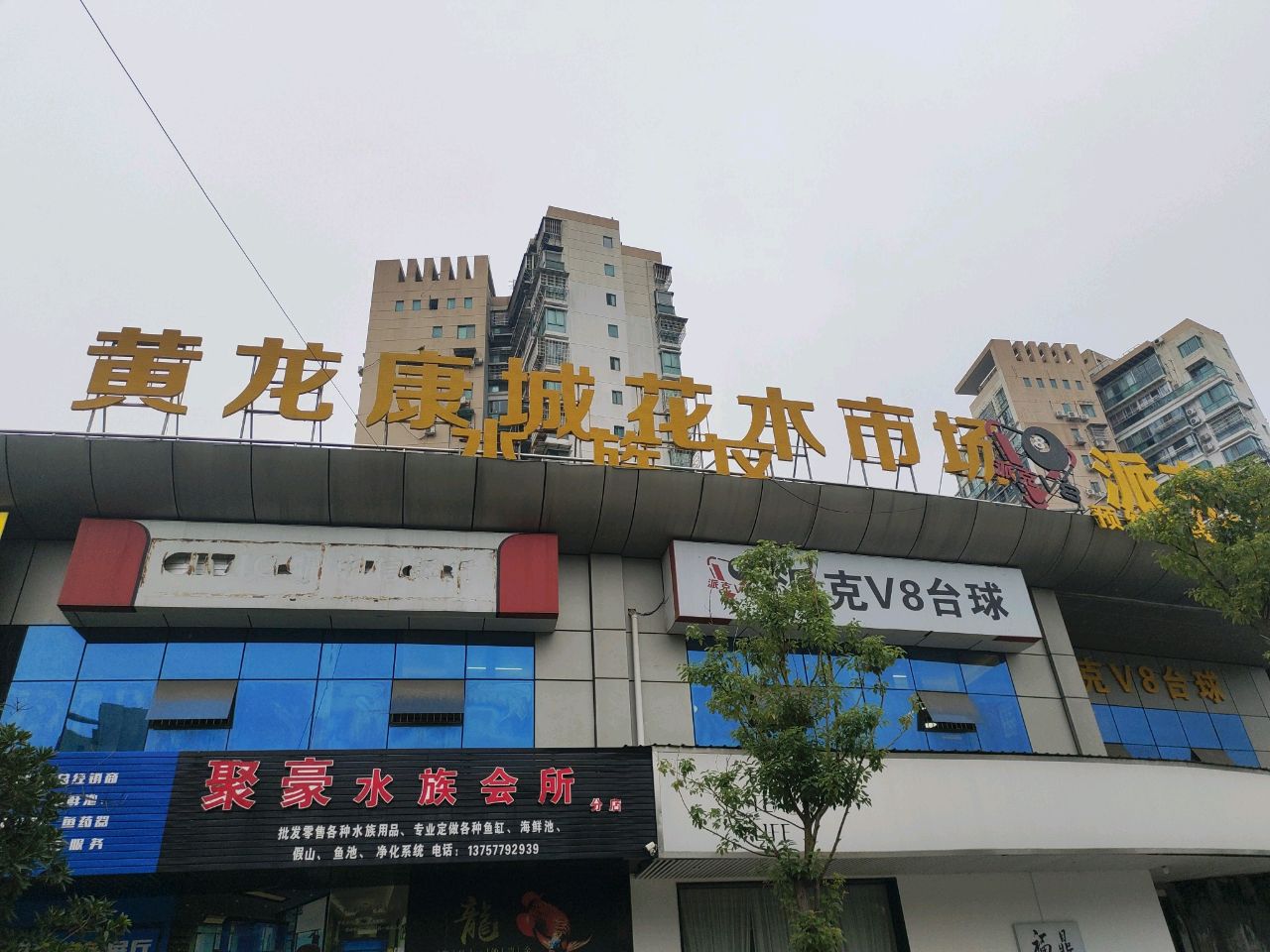 黄龙康城花木市场水族区