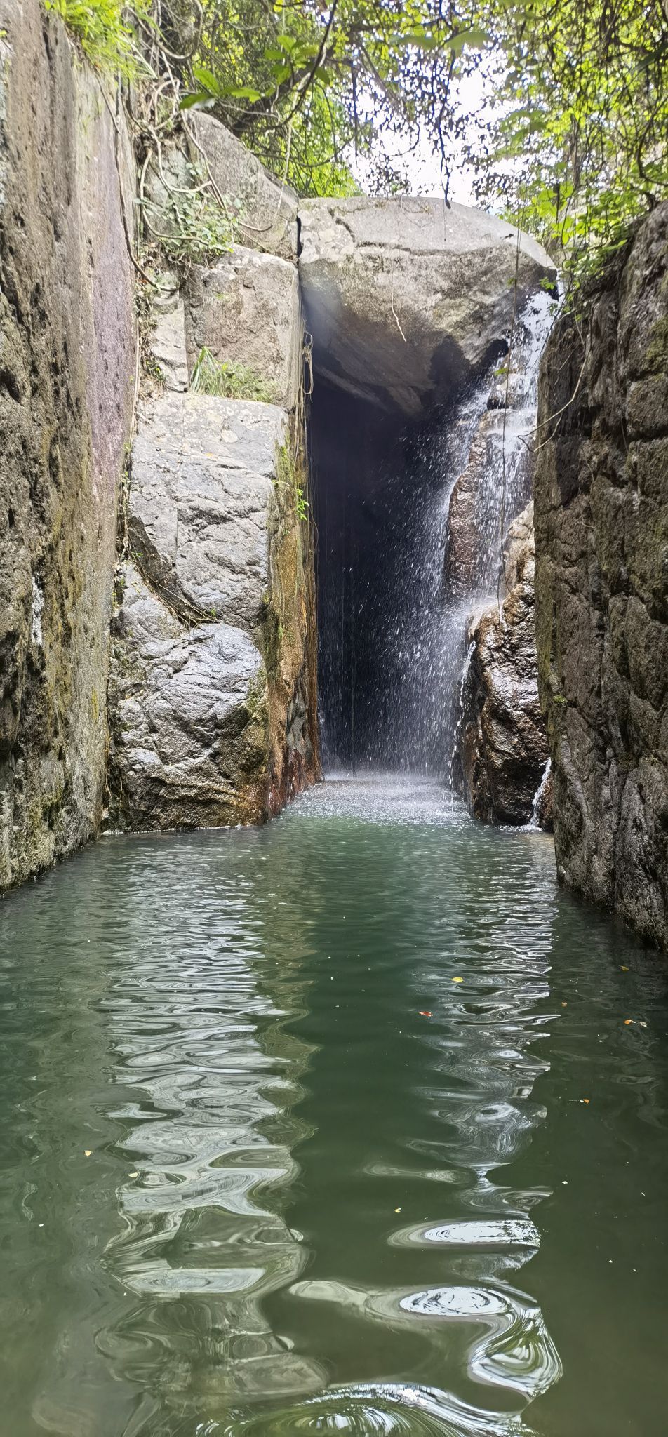 天露山林场