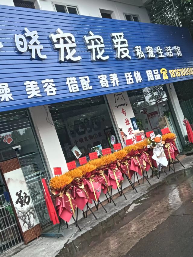 小晓宠宠爱私宠生活馆
