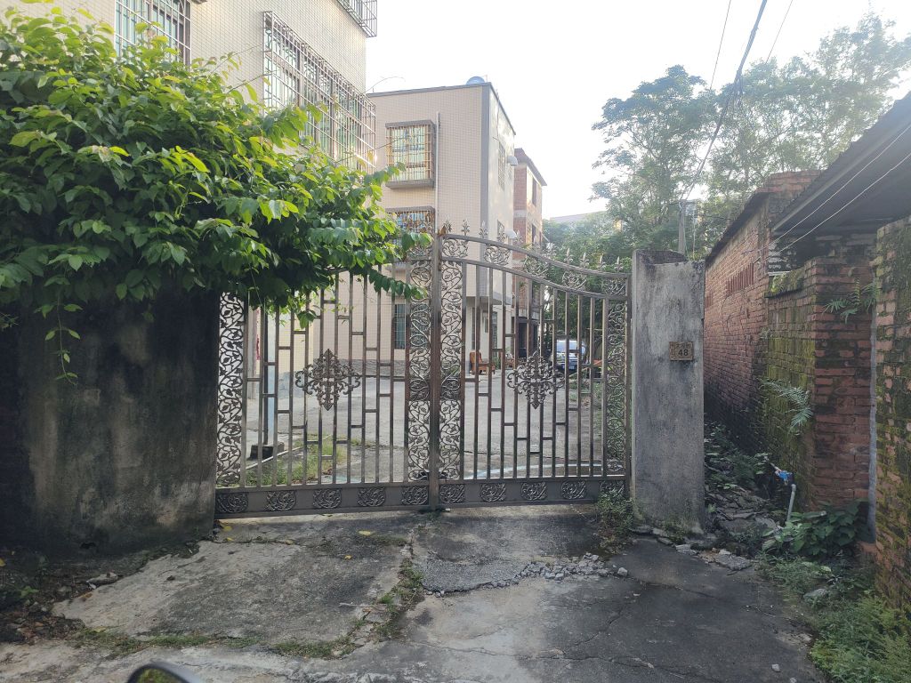 大埠村48号中国狼