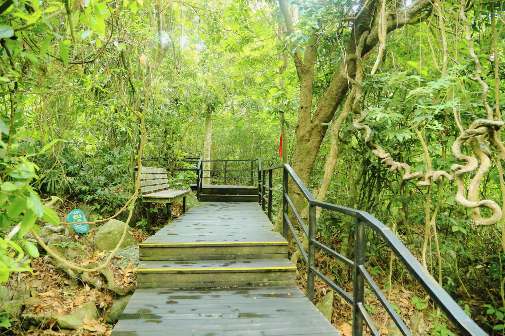 呀诺达雨林文化旅游区-游客中心