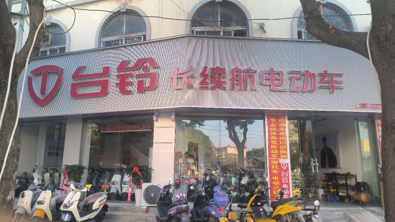 息县台铃电动车(息夫人大道店)