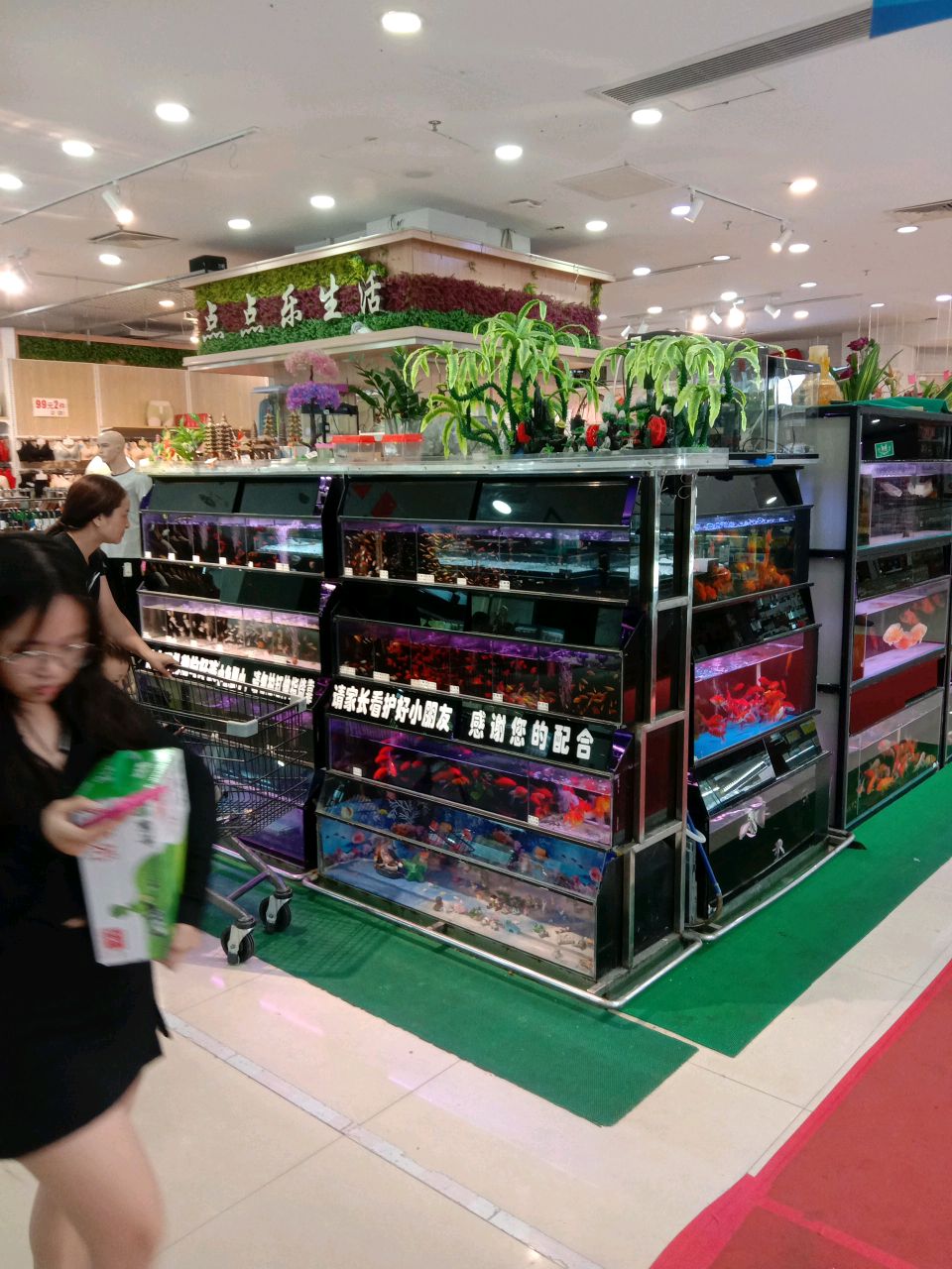 点点乐水族花卉(四路店)