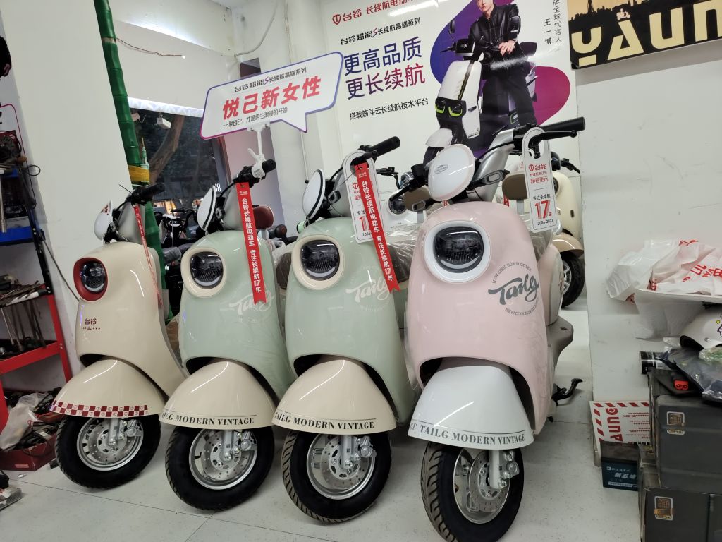 台铃电动车(管城凤凰路店)