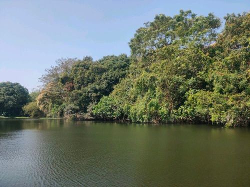 邦溪自然生态风景区