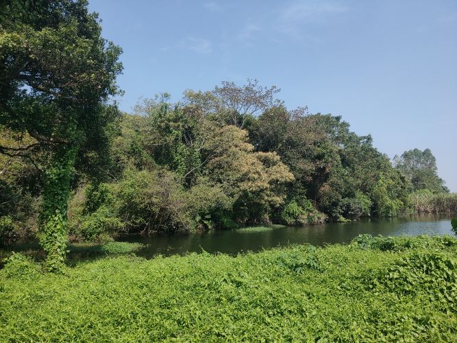 邦溪自然生态风景区