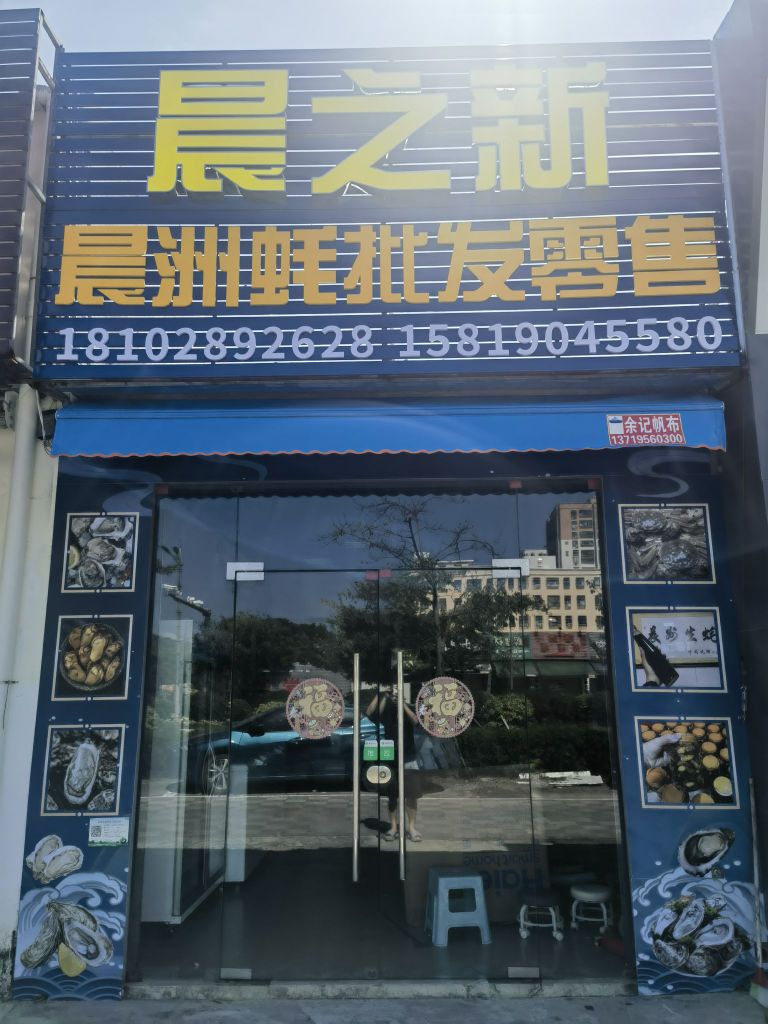 晨之新晨洲蚝批发零售